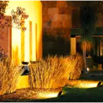 Captura de pantalla 2024-11-26 185928